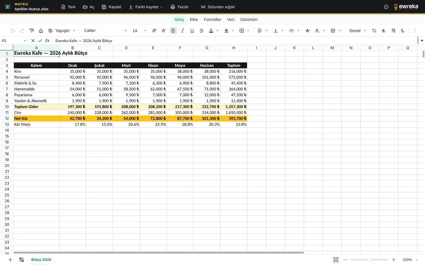 Ewreka Matrix ile açılmış bir Excel bütçe tablosu: formüller, ₺ para biçimi ve renkli toplam satırları
